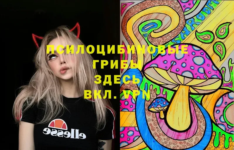 Псилоцибиновые грибы Psilocybe  гидра маркетплейс  Бородино  купить наркотик 